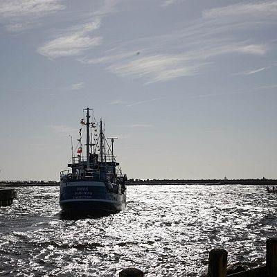 Dni Morza 2025 grafika